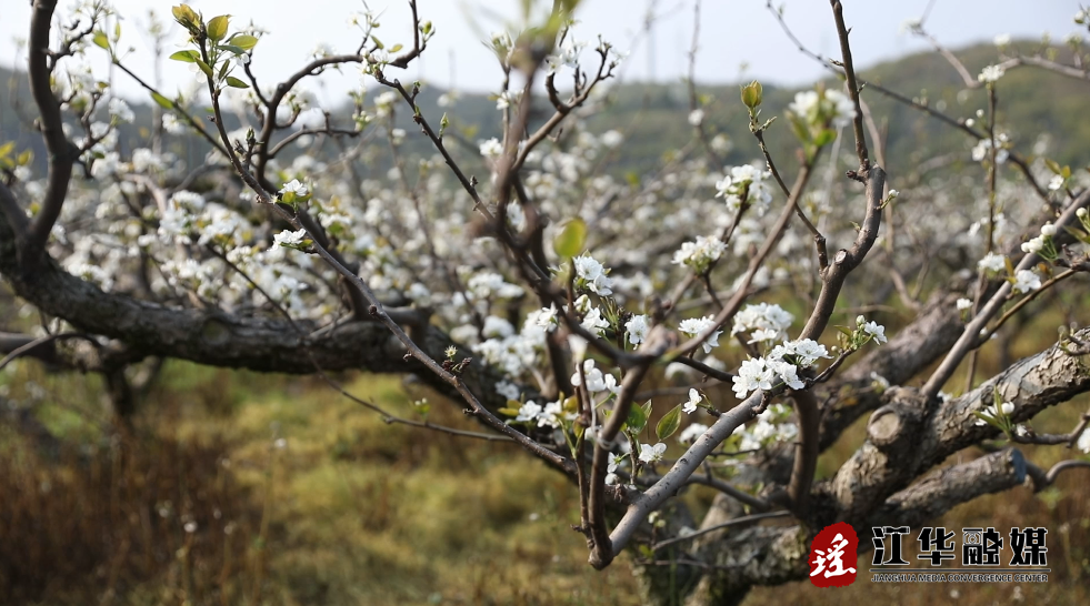 ScreenShot_2026-03-26_155152_470.png ScreenShot_2026-03-26_155152_470.png