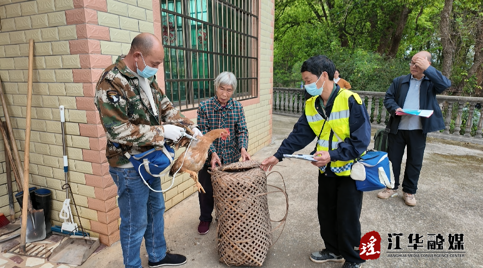 江华：筑牢动物防疫安全网 护航养殖业高质量发展