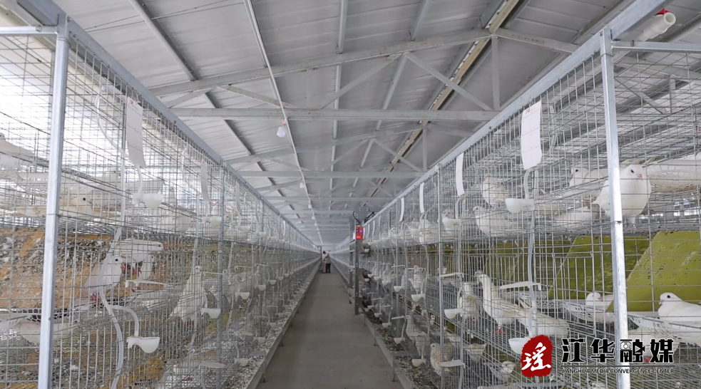 江华：构建种养循环链 变废为宝促振兴