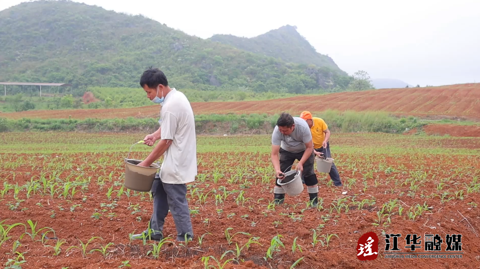 ScreenShot_2026-04-16_093741_488.png ScreenShot_2026-04-16_093741_488.png