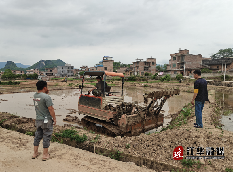 江华水口镇：抗旱保耕种早稻  实干解难守初心