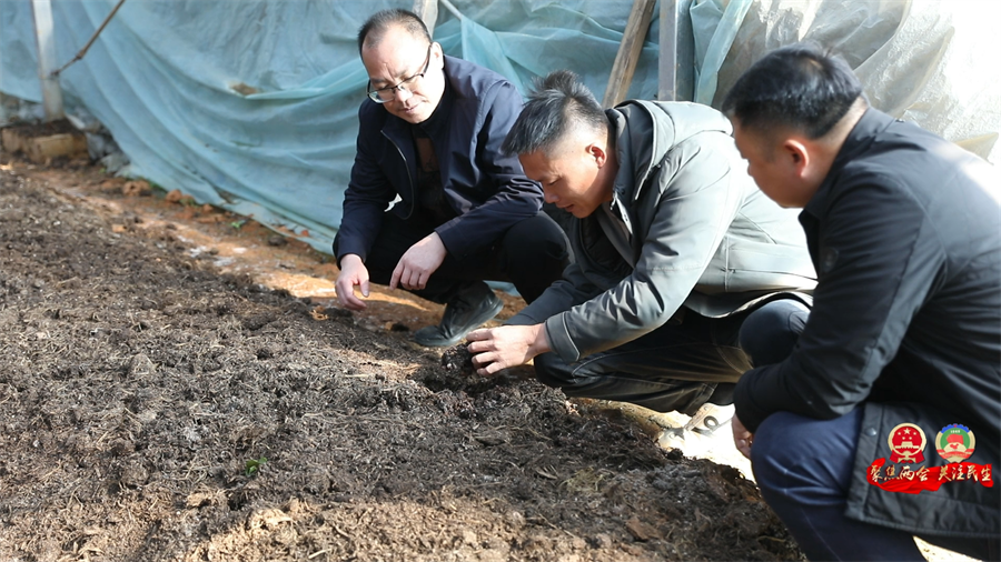 3人大代表风采  曹元松[00_02_09][20260425-184918].png