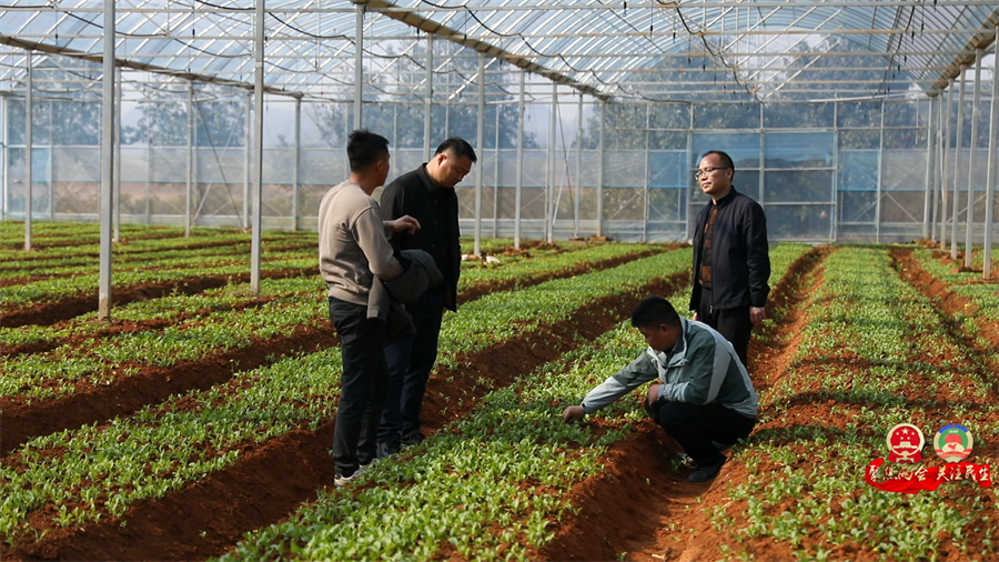 3人大代表风采  曹元松[00_00_37][20260425-184713].png