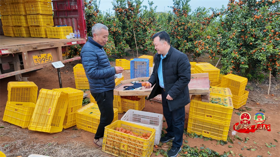 3政协委员风采  赵廷[00_02_04][20260425-185254].png