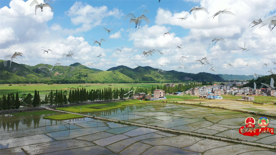 3人大代表风采  曹元松[00_00_59][20260425-184752].png