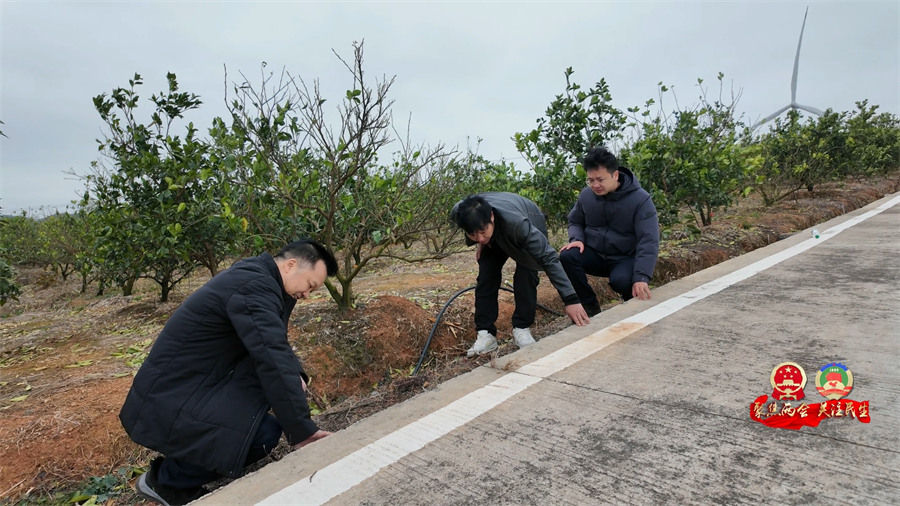 3政协委员风采  赵廷[00_01_49][20260425-185155].png