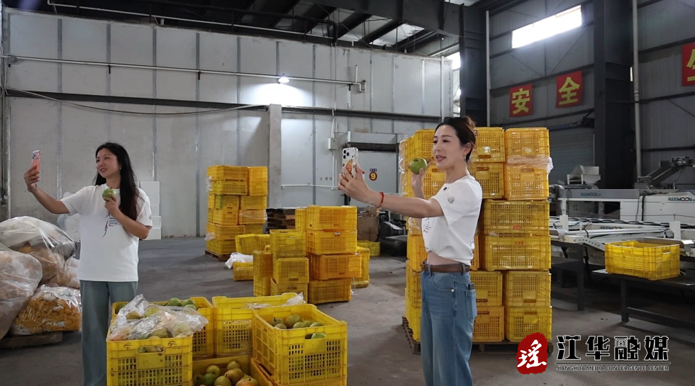 江苏博主直播带货 江华瑶山雪梨线上热销