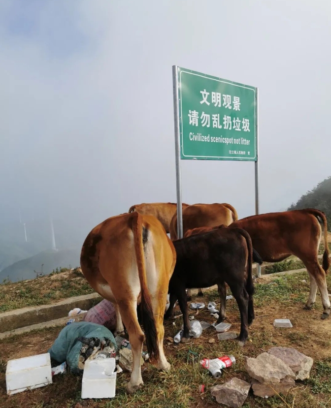 微信截图_20230921151218.png