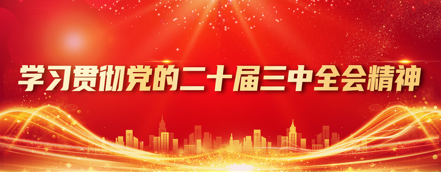 学习贯彻党的二十届三中全会精神