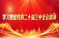 学习贯彻党的二十届三中全会精神