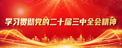 學(xué)習(xí)貫徹黨的二十屆三中全會(huì)精神