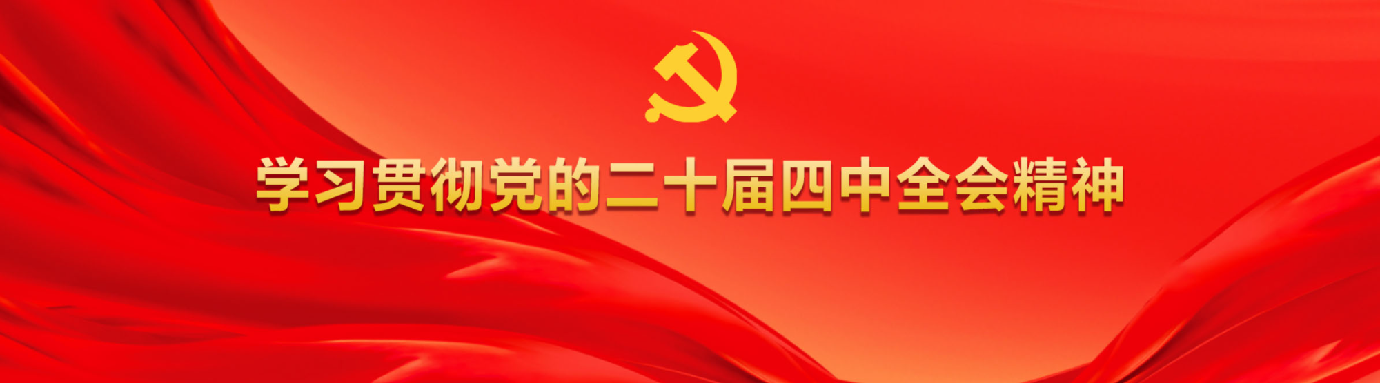 学习贯彻党的二十届四中全会精神