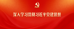 深入学习贯彻习近平党建思想