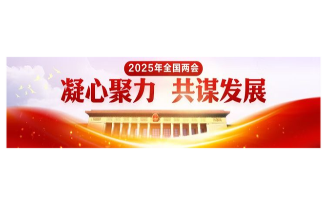 专题丨2025全国两会