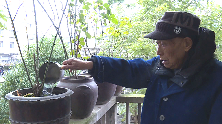 抗美援朝老兵蒋志凤：平淡中尽显英雄本色
