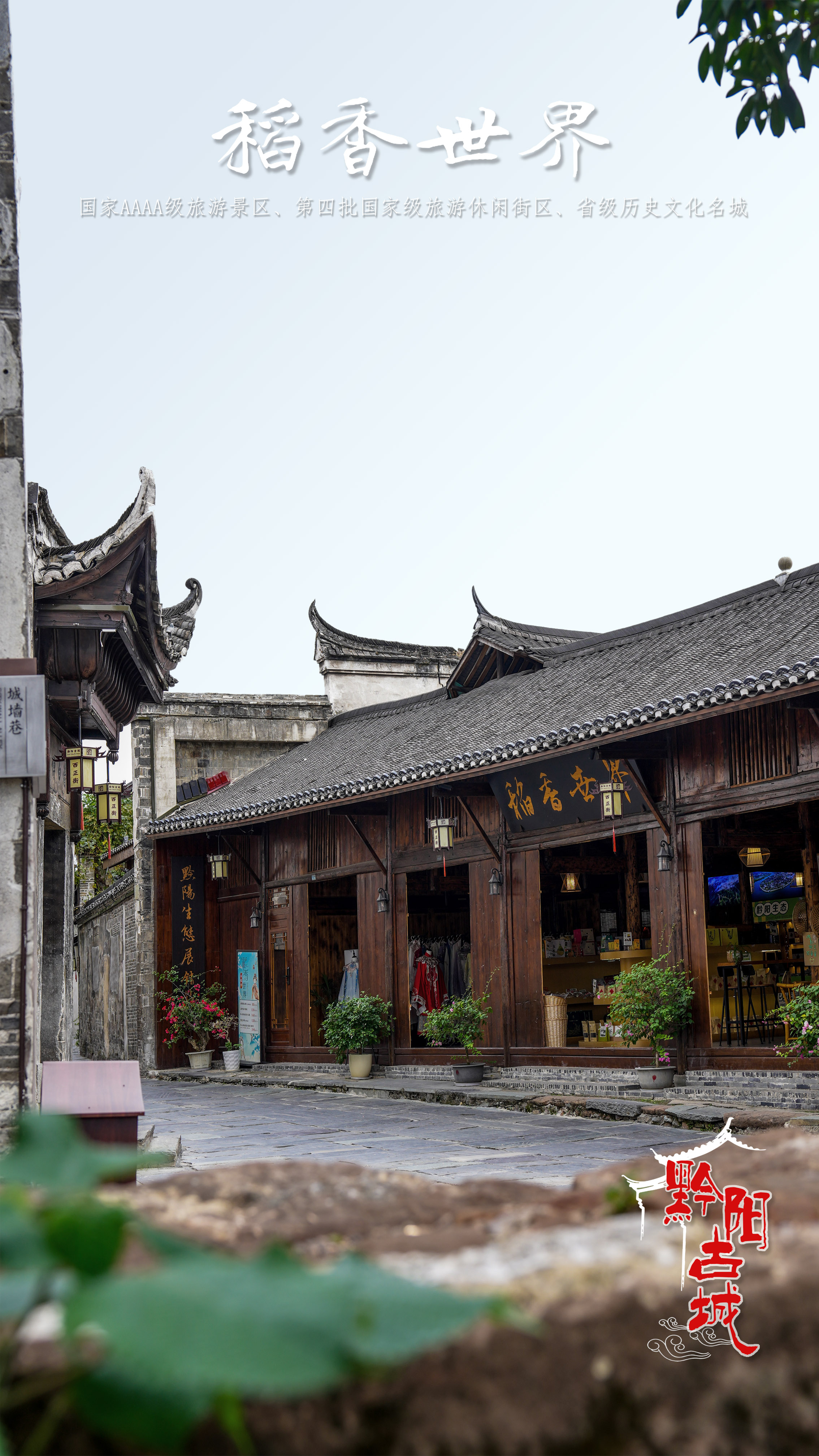 图七.jpg 图七.jpg