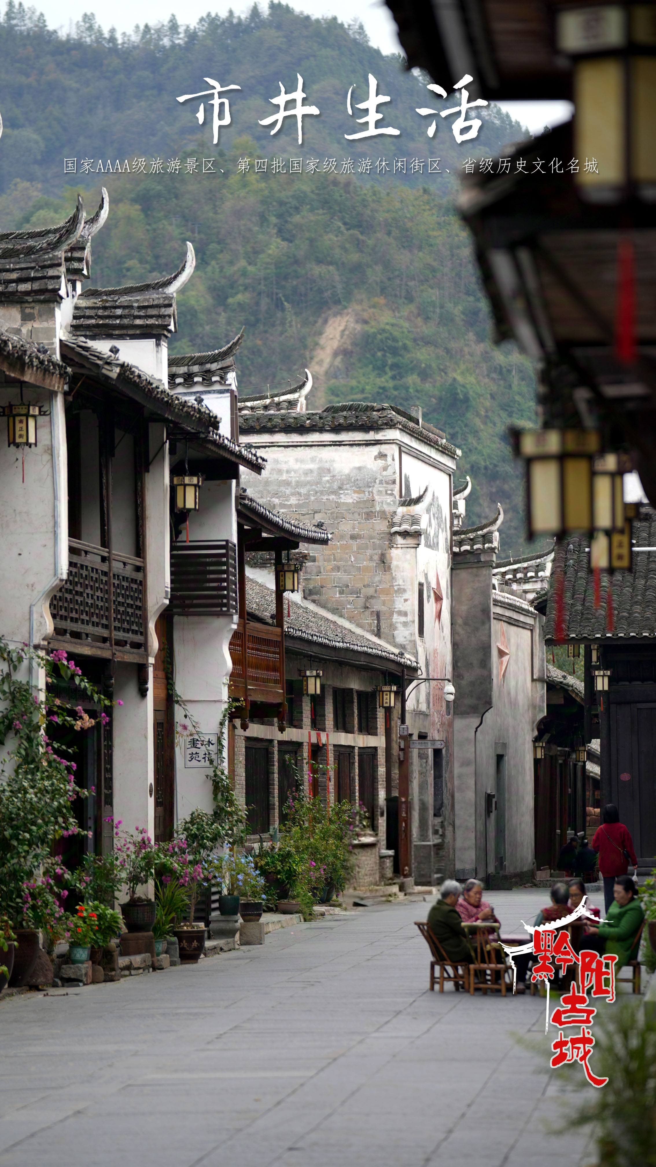 图一.jpg 图一.jpg