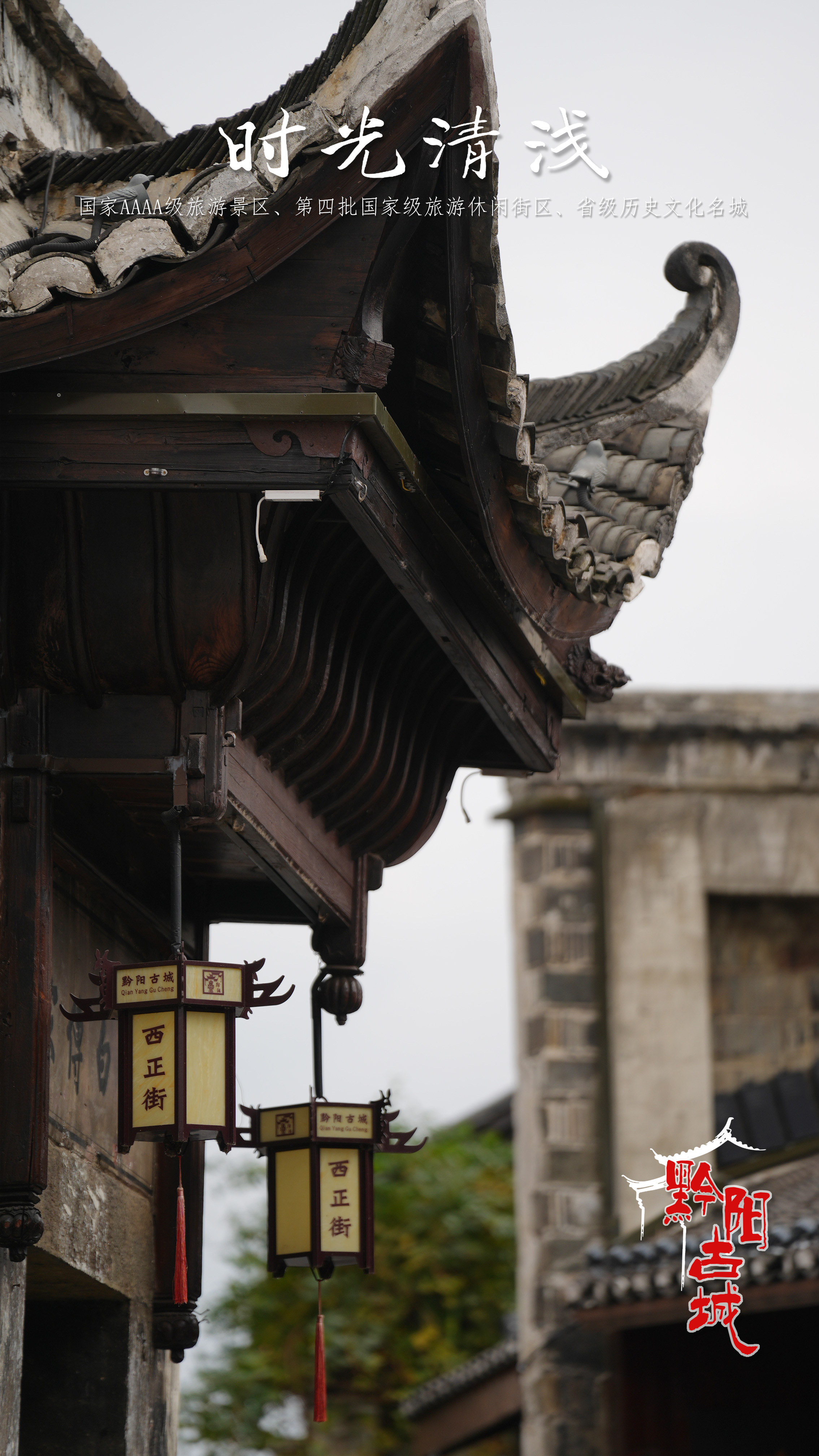 图三.jpg 图三.jpg