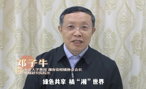 【绿色共享 橘“湘”世界】湖南农业大学教授、湖南省柑橘协会会长、南岭柑橘研究院院长邓子牛为洪江市柑橘打call，诚邀您一起品洪江柑橘，赏雪峰美景，11月22日，让我们相遇大美洪江！