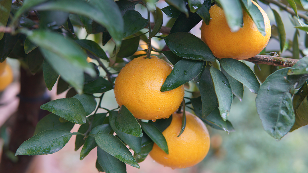 微信图片_20251117145138.jpg 微信图片_20251117145138.jpg