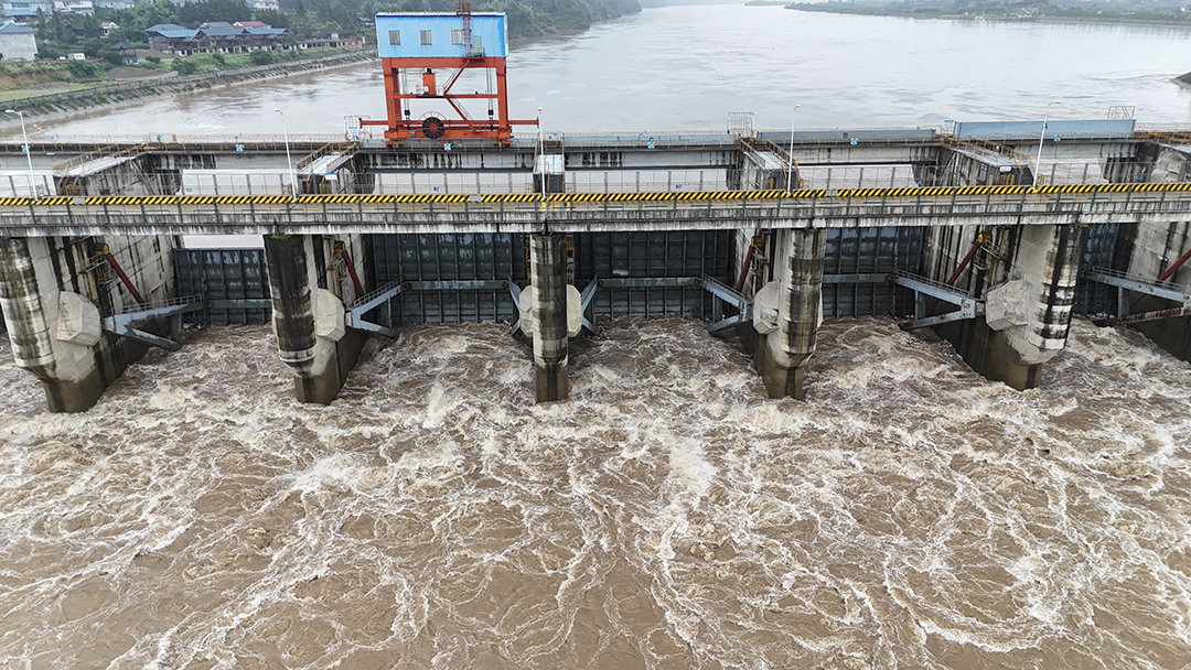 【微视频】暴雨天气避险要点，安全度汛不要大意，记得一键收藏！