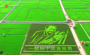 【微视频】6月25日，第35个全国土地日将至，让我们延续农耕文化，感受土地的脉搏，聆听历史的回响