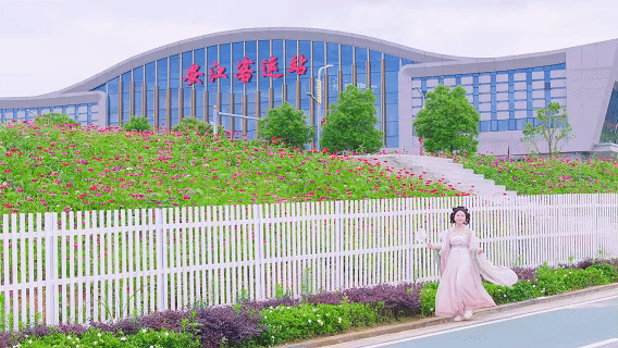 6月6日 (1).gif