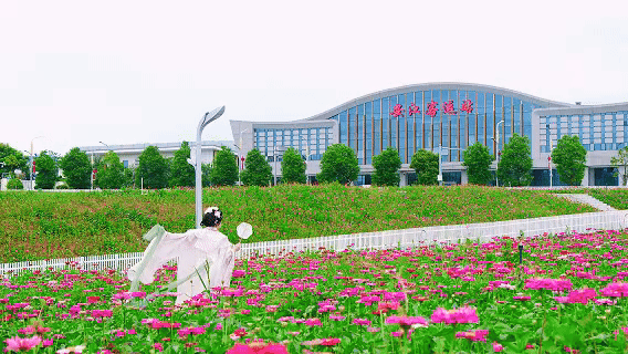 6月6日 (1)(5).gif