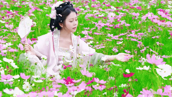 6月6日 (1)(4).gif