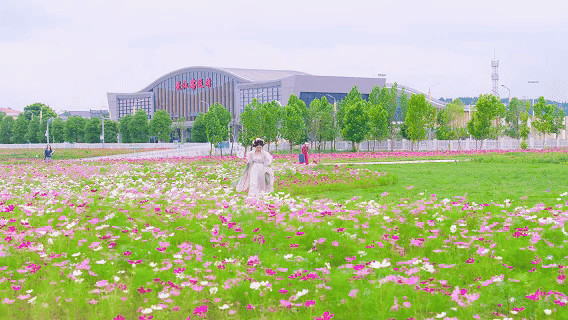 6月6日 (1)(2).gif