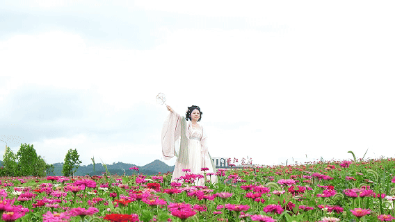 6月6日 (1)(3).gif