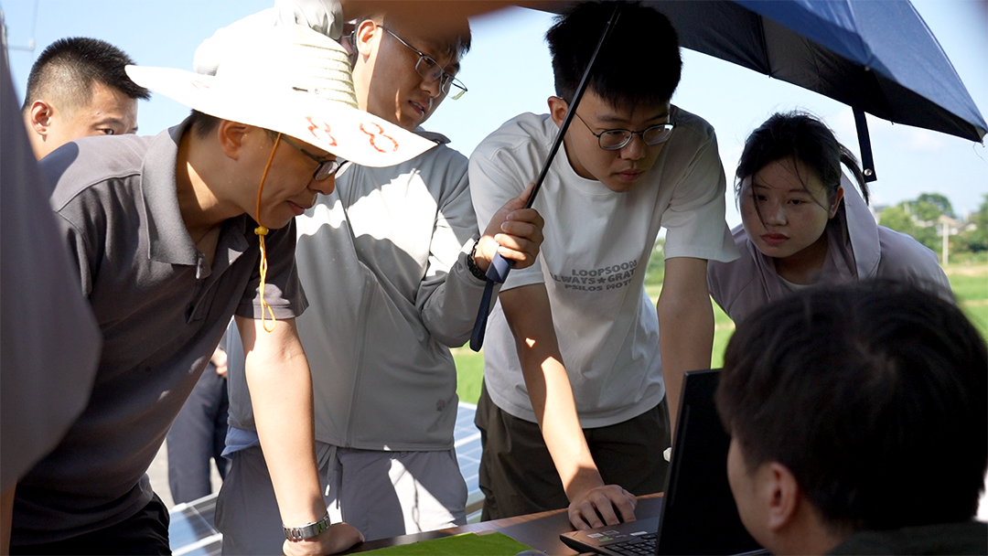 提前“热身”！洪江市安农千亩稻田示范基地将迎全国智能测报灯大比武