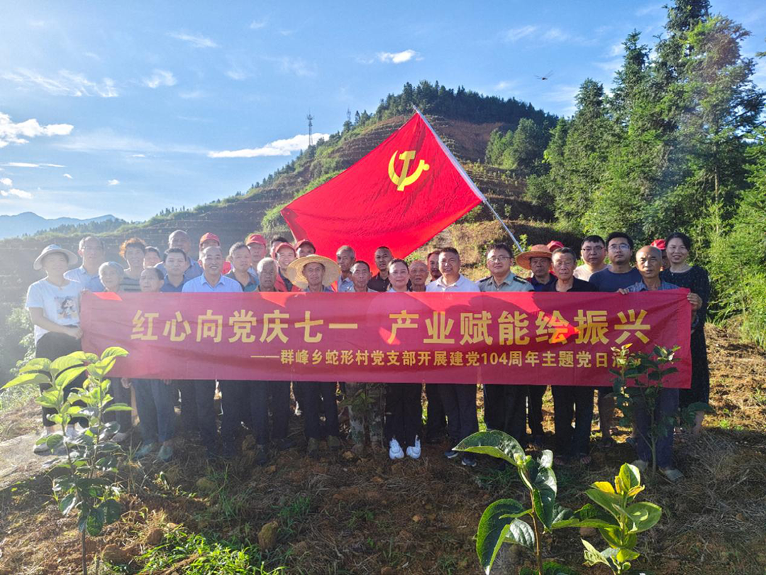 【群峰乡】党旗在产业基地上飘扬