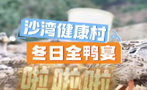 【沙湾健康村 • 冬日全鸭宴】邀您赴一场温暖的村宴