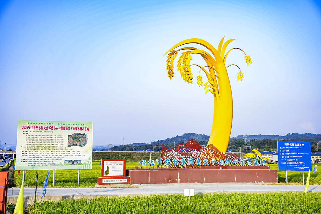 2026年9月21日安江杂交水稻大会图片 (4).JPG