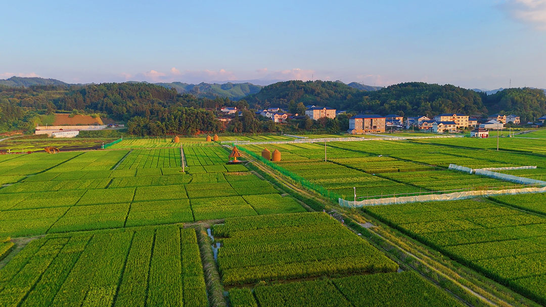 9月7日,落日缓缓垂落,绚烂晚霞铺满天际 (1).jpg 9月7日,落日缓缓垂落,绚烂晚霞铺满天际 (1).jpg