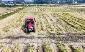 【微视频】秸秆粉碎还田，废秆变沃土