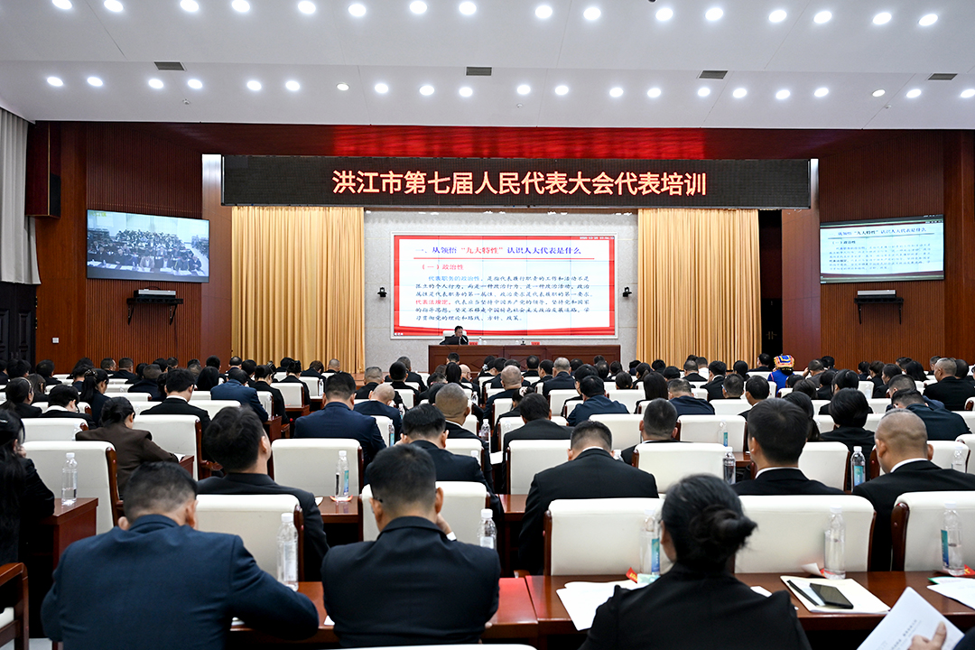 【聚焦两会】洪江市第七届人民代表大会代表培训顺利举行