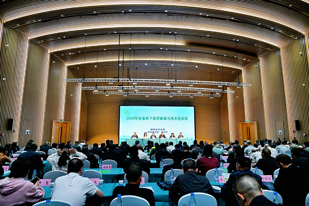 林药共生 生态富民！2026年全省林下经济政策与技术培训班在洪江市开班