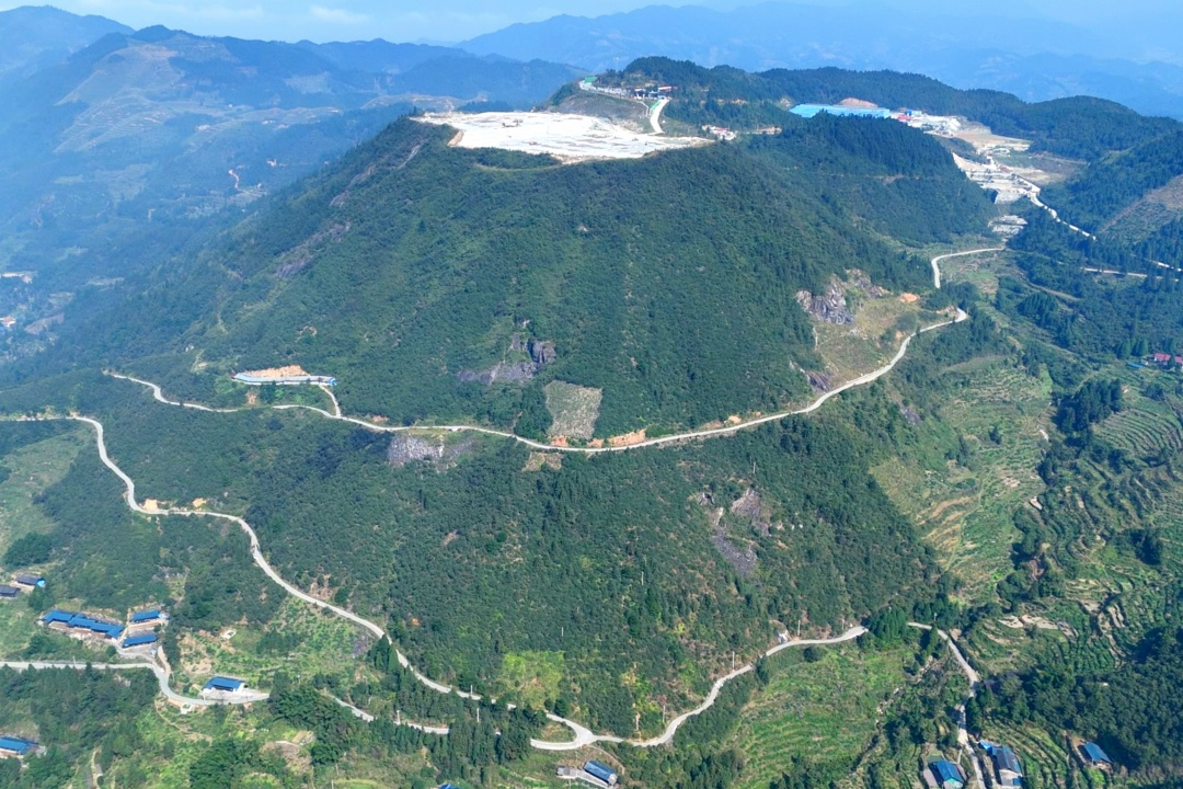 【湾溪乡】万亩油茶林迎采摘  深山“黄金果”榨出致富油