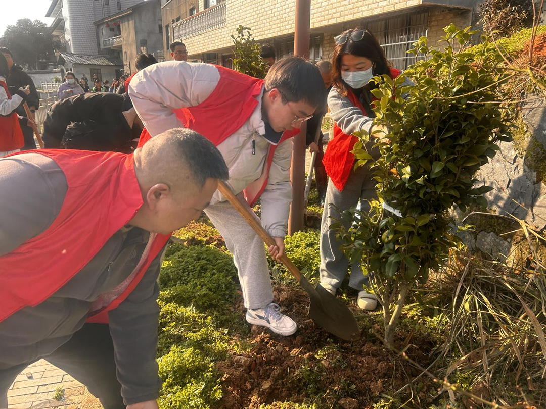 【大崇乡】“志愿红”播种“生态绿” 干群同心共绘和美乡村新画卷