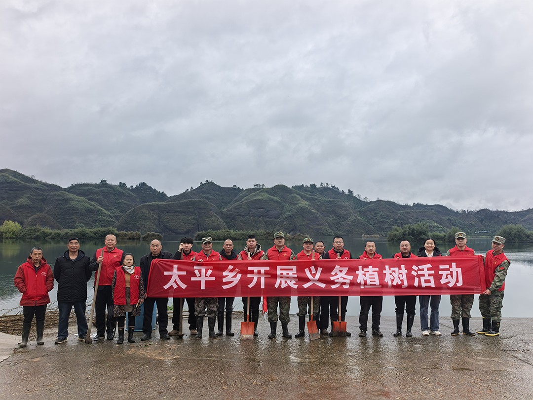 【太平乡】开展沅水沿线义务植树活动
