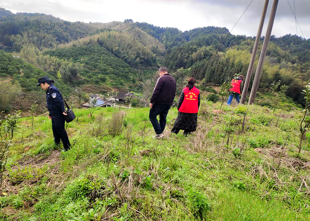 【深渡苗族乡】踏查巡山除毒患 守护净土保平安