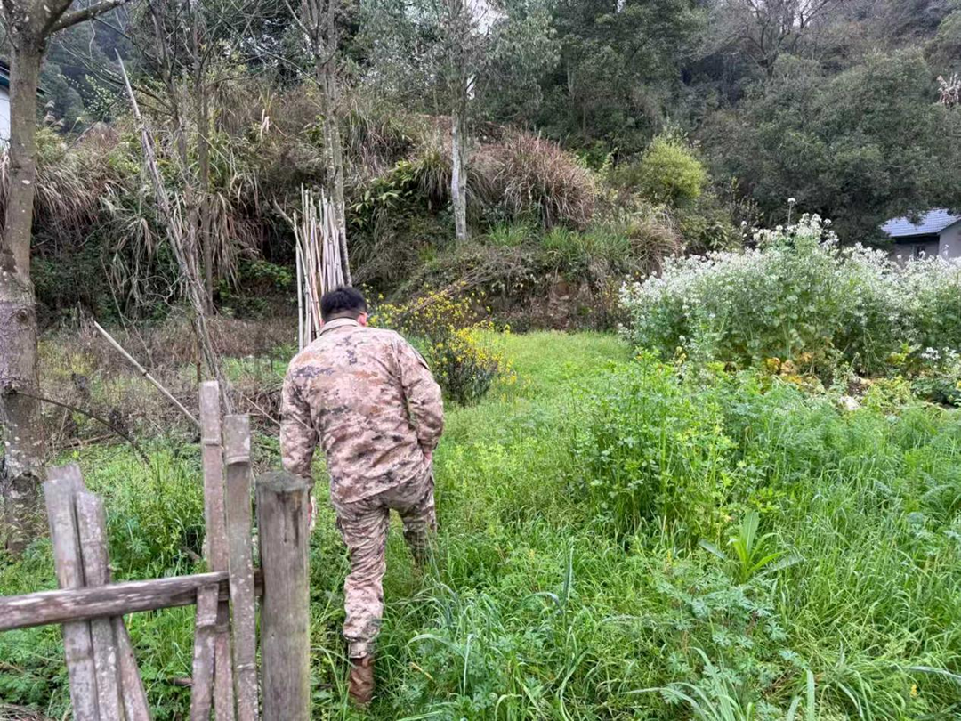 【茅渡乡】禁种铲毒“不松劲” 守护净土“筑防线”