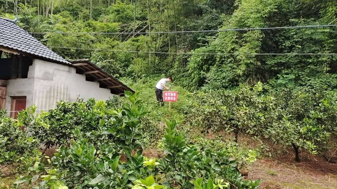 【沅河镇】开展地质灾害隐患排查