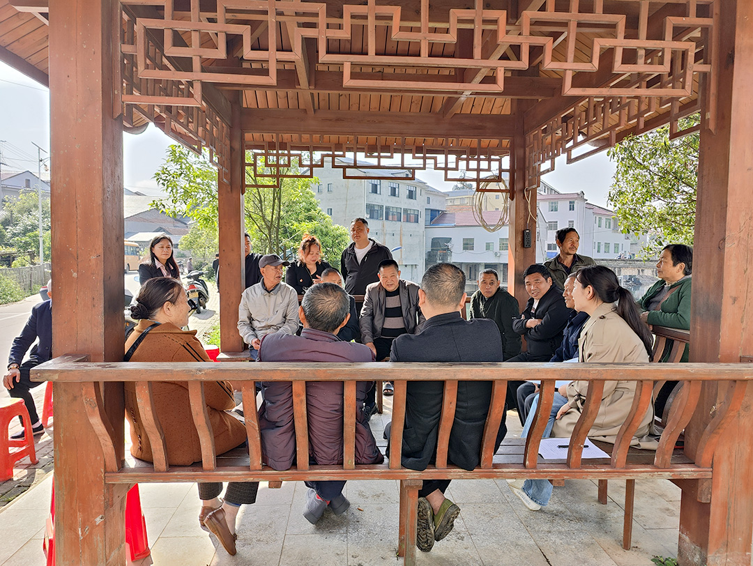 【太平乡】两会宣讲进社区 惠民政策暖民心
