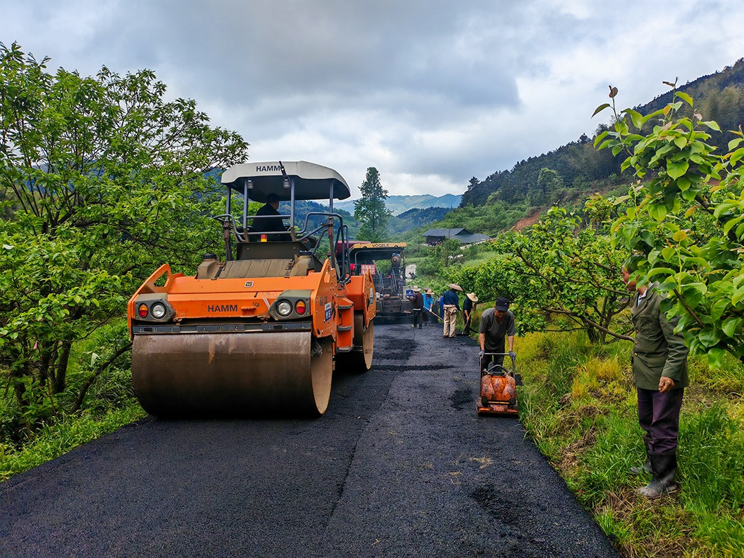 【大崇乡】沥青路铺进金秋梨园 助力果农驶入致富“快车道”