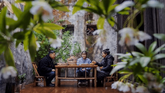 动图8.gif 动图8.gif