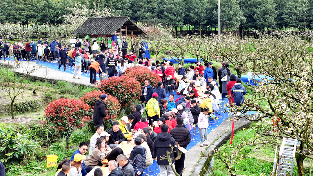 3月28日，在“金秋梨发源地”大崇乡石板桥村，一场别具春意的乡村长桌宴在千亩梨园旁热闹开席 (1).jpg