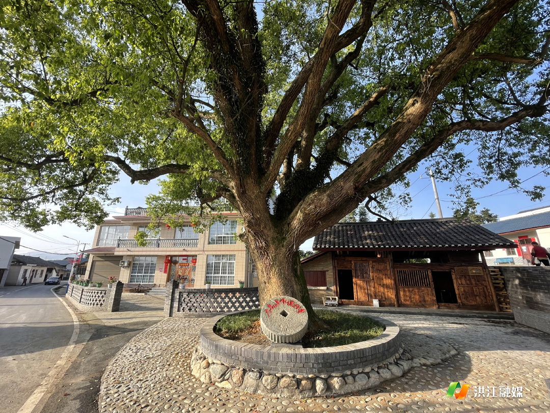 安江下坪村.png